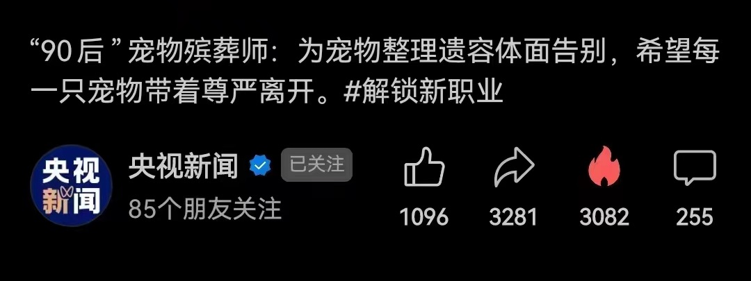 央视新闻报道