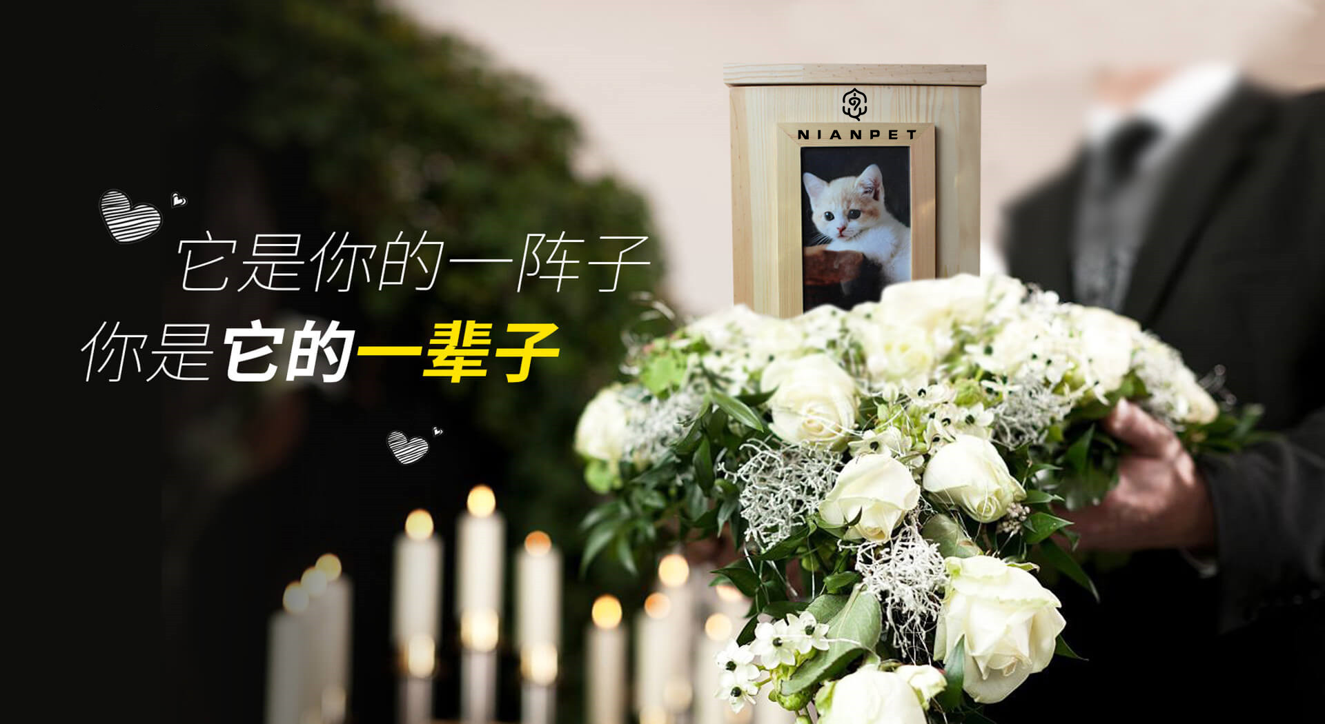 念宠品牌介绍